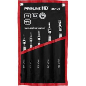 SET CHEI CU TORXURI FLEXIBILE CR-VA HD 36105